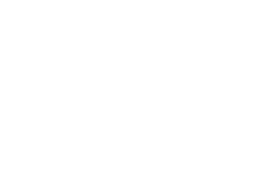 pointmobile accessories