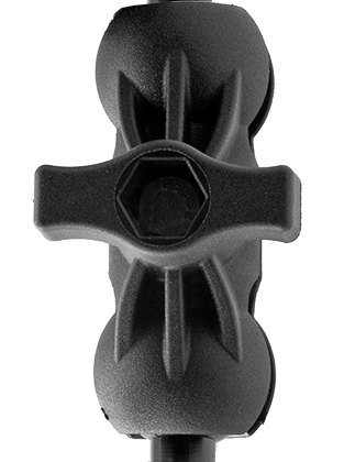 B1
